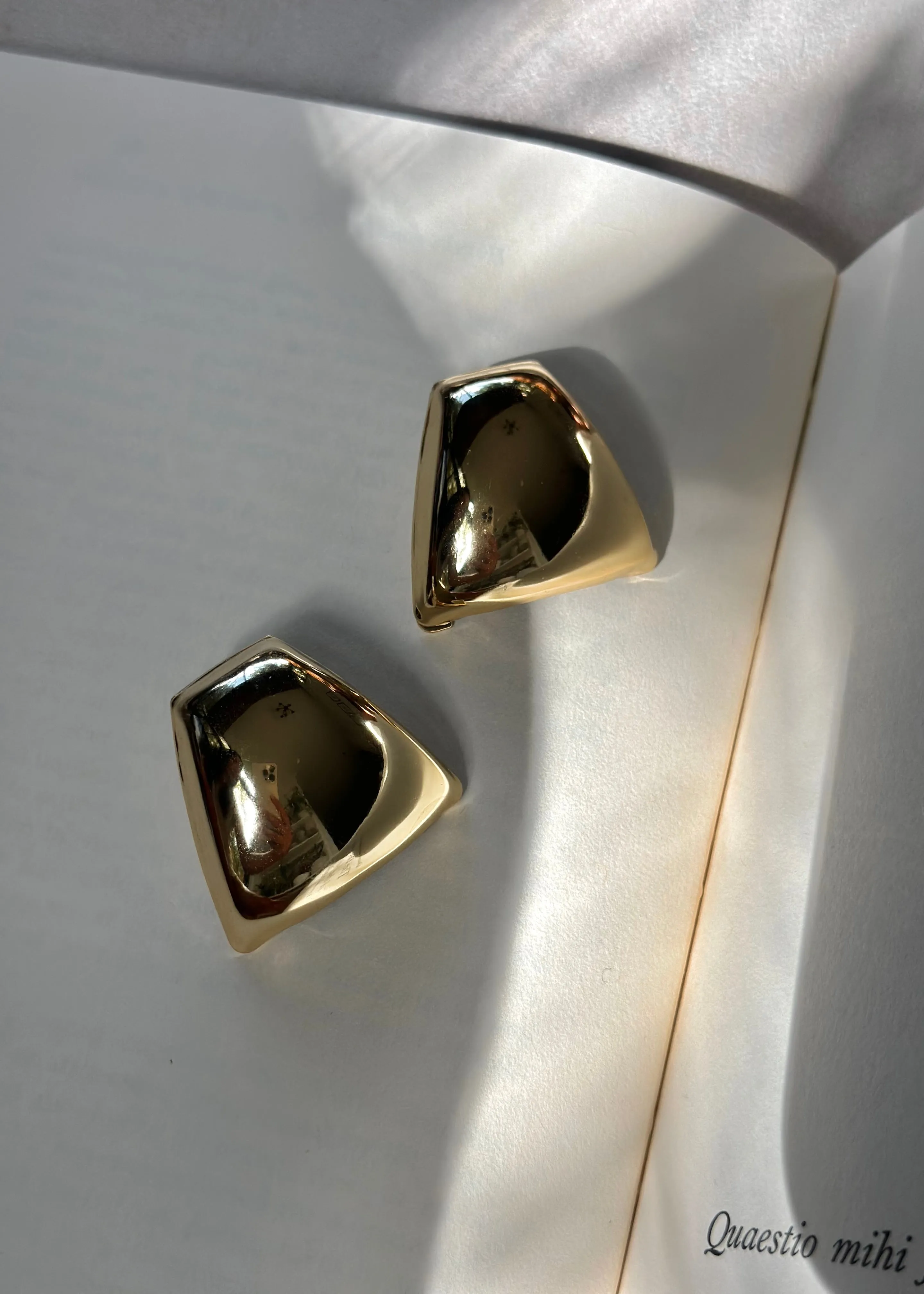 Clauda Earrings
