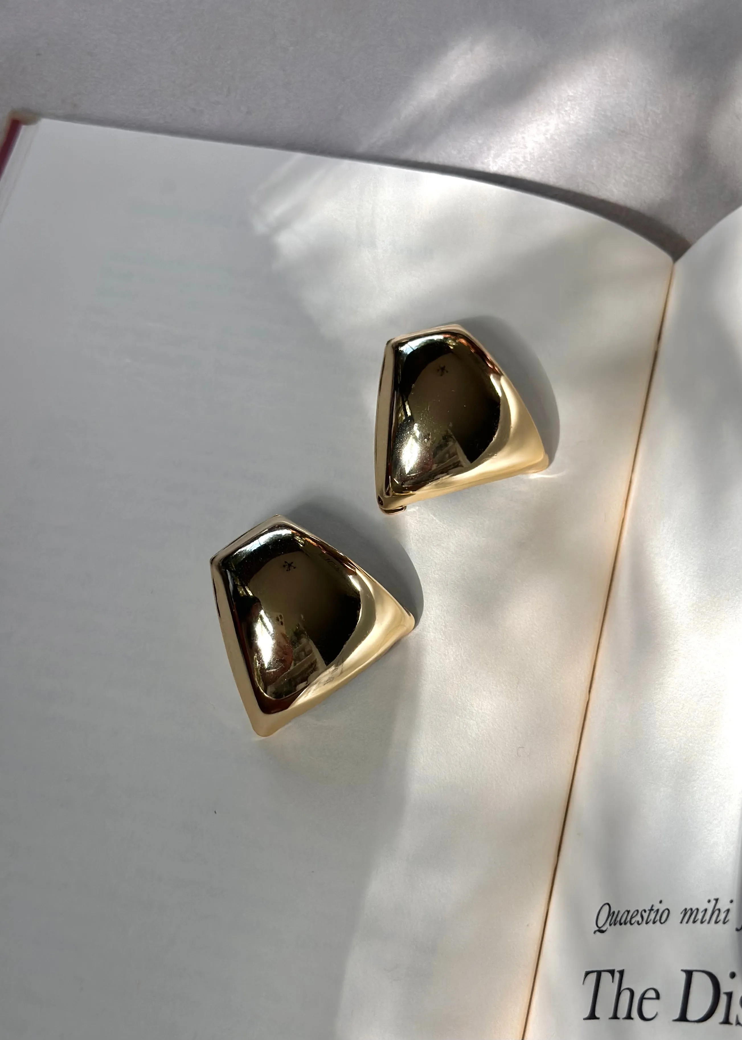 Clauda Earrings