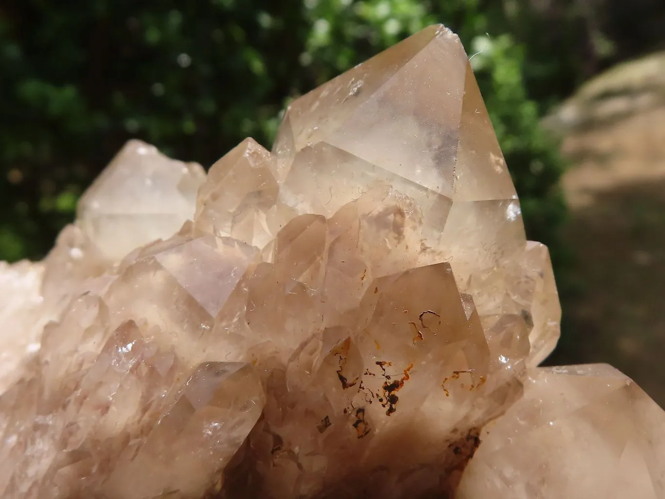 Natural Cascading Smokey Phantom Quartz Cluster x 1 From Luena, Congo