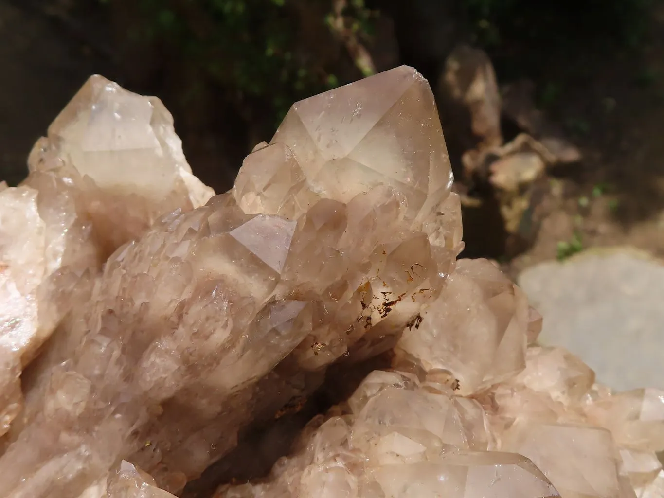 Natural Cascading Smokey Phantom Quartz Cluster x 1 From Luena, Congo