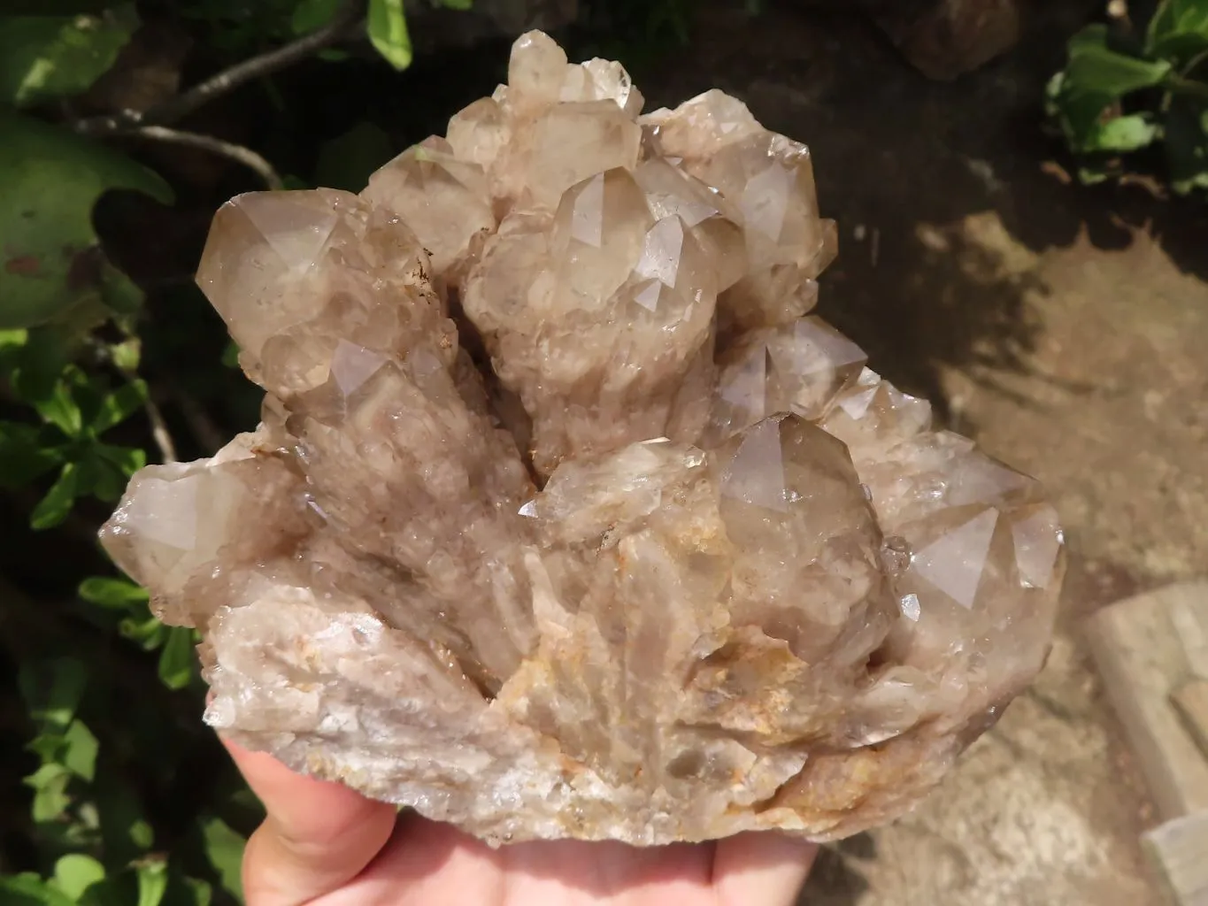 Natural Cascading Smokey Phantom Quartz Cluster x 1 From Luena, Congo