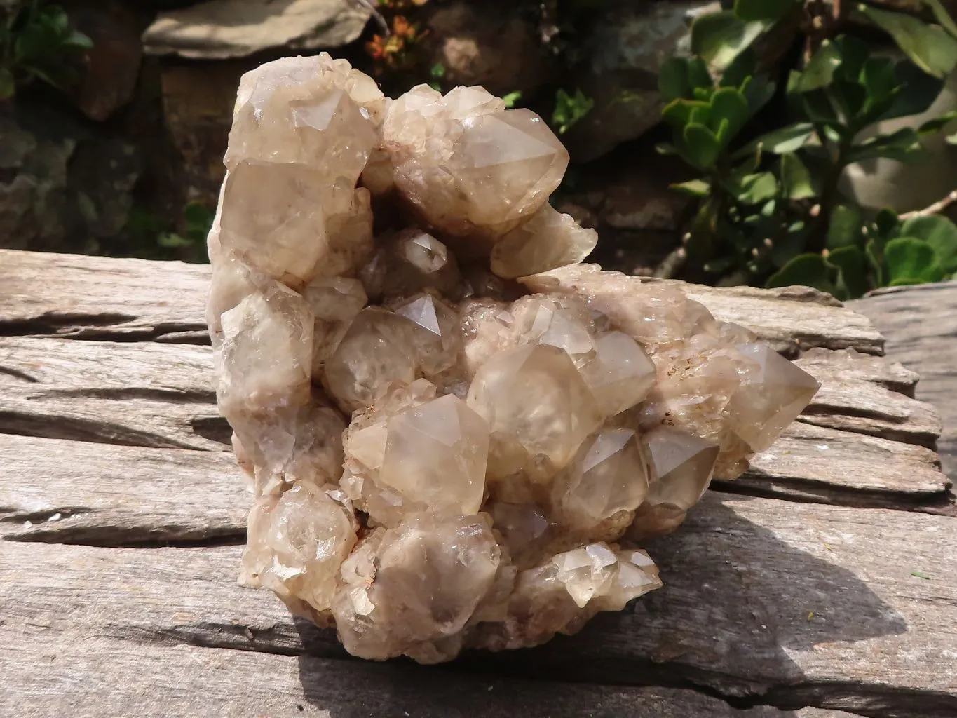 Natural Cascading Smokey Phantom Quartz Cluster x 1 From Luena, Congo