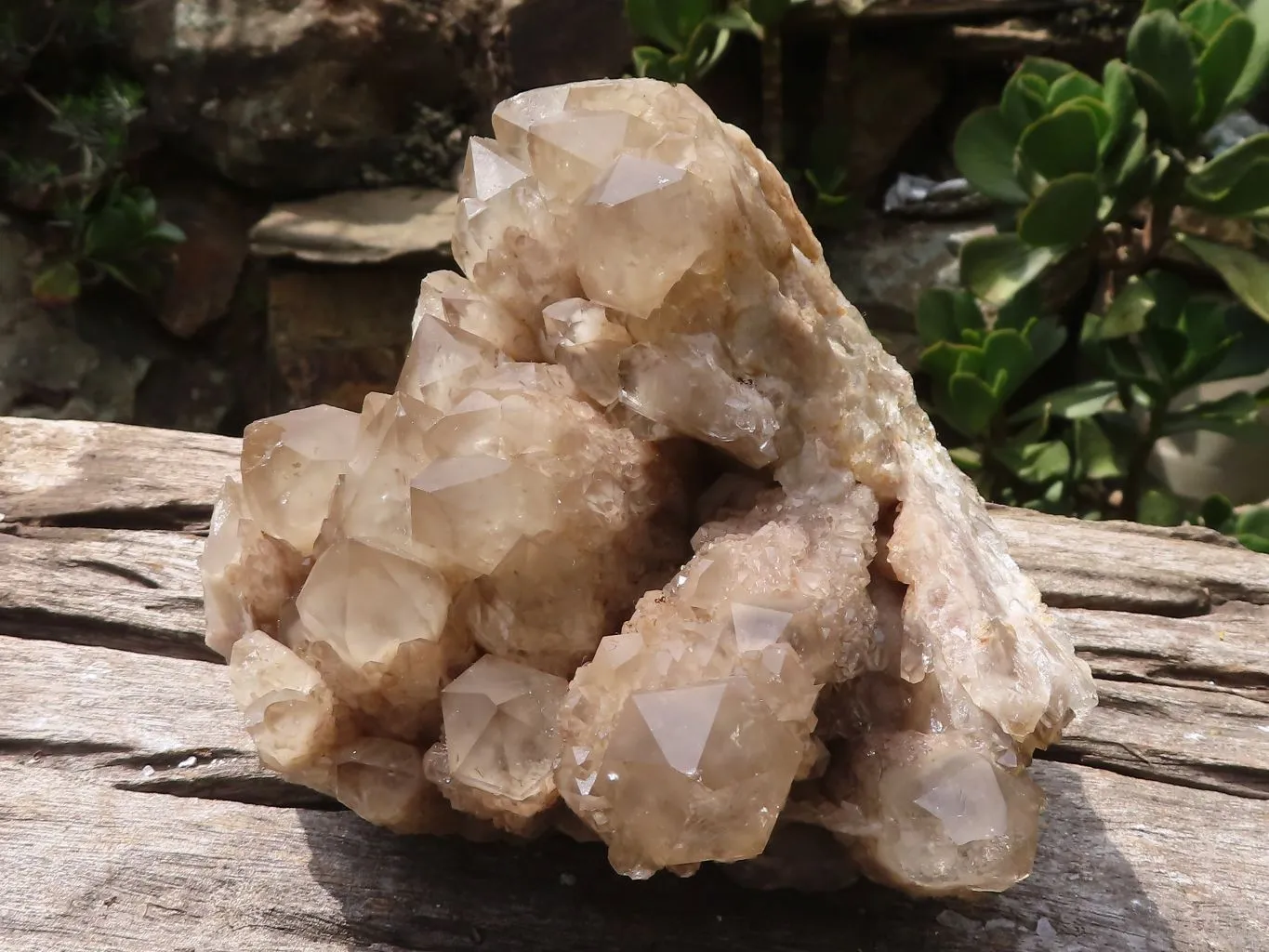 Natural Cascading Smokey Phantom Quartz Cluster x 1 From Luena, Congo