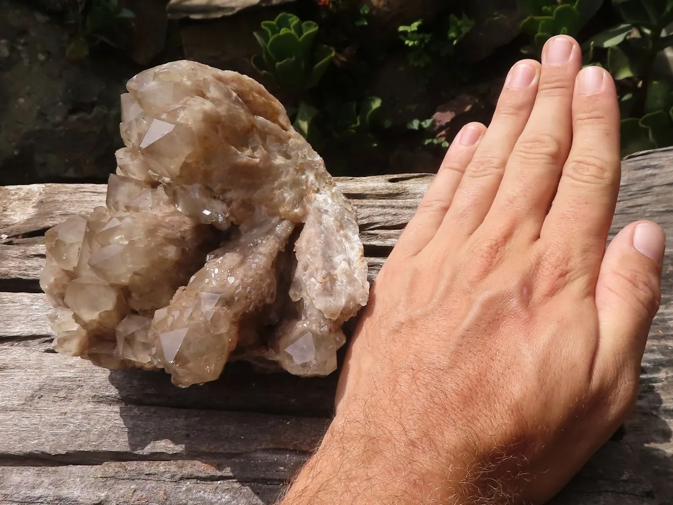 Natural Cascading Smokey Phantom Quartz Cluster x 1 From Luena, Congo