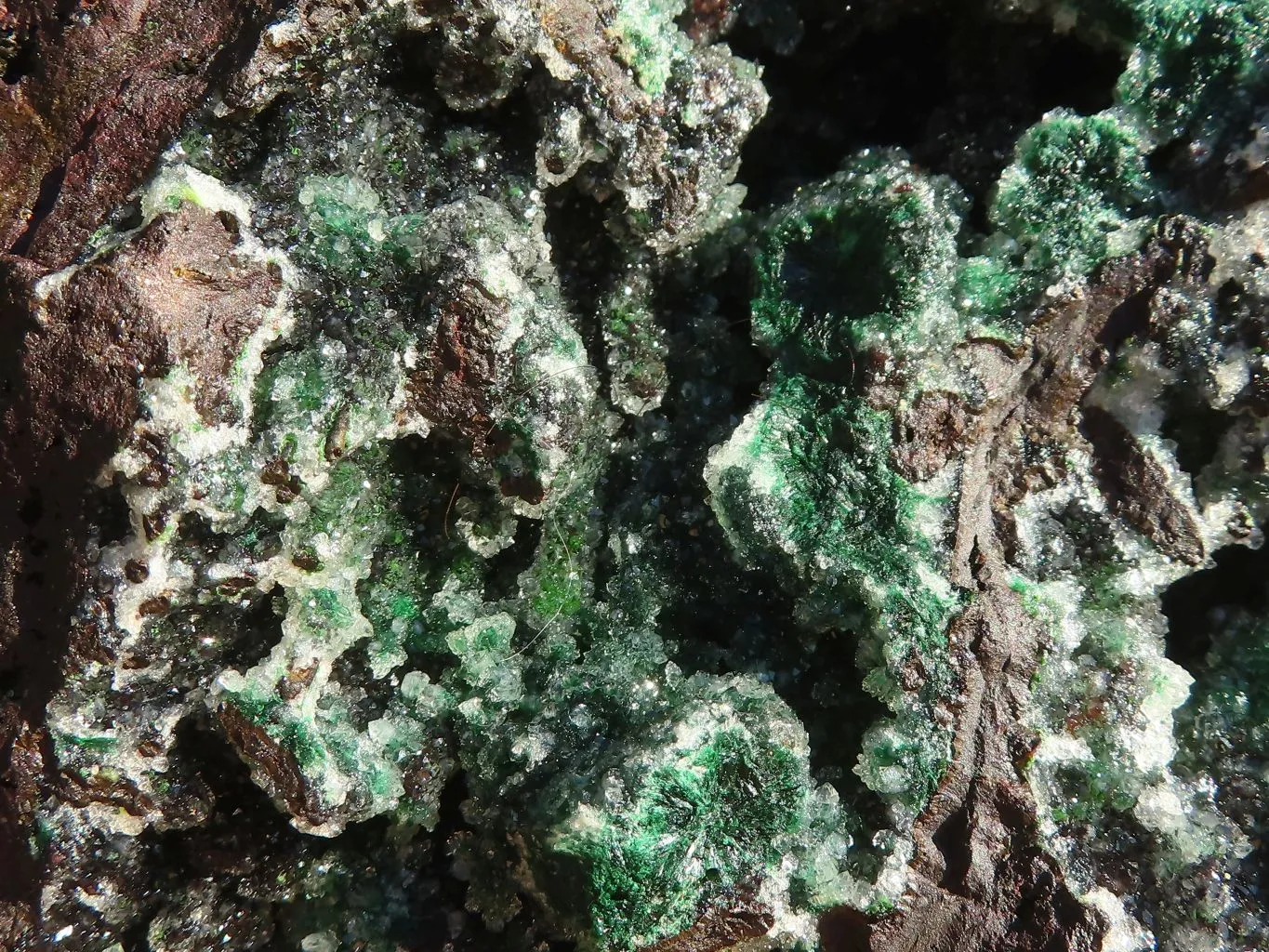 Natural Drusi Quartz Coated Ball Malachite On Red Copper Dolomite x 1 From Likasi, Congo