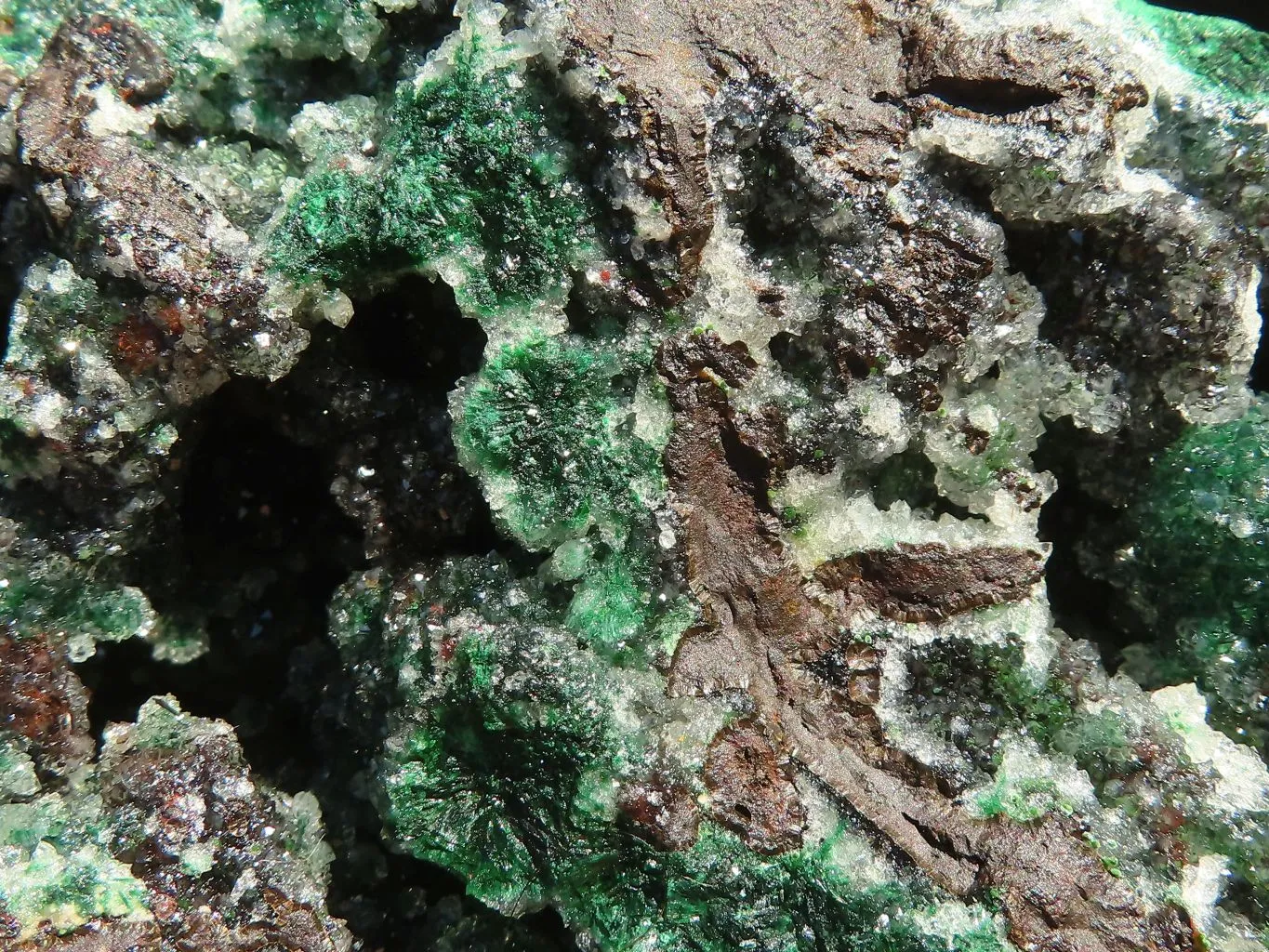 Natural Drusi Quartz Coated Ball Malachite On Red Copper Dolomite x 1 From Likasi, Congo