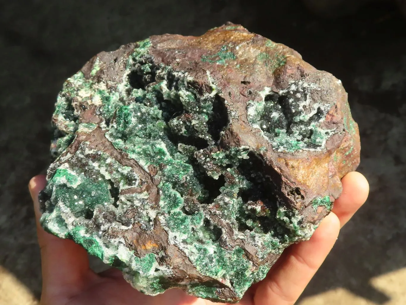 Natural Drusi Quartz Coated Ball Malachite On Red Copper Dolomite x 1 From Likasi, Congo
