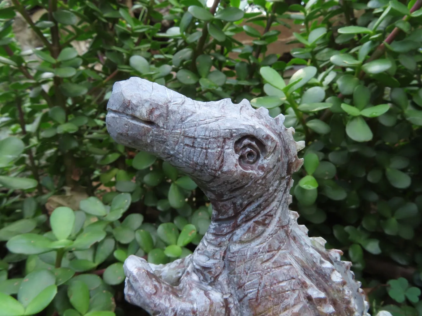 Polished  Medium Dinosaur Carving x 1 From Zimbabwe