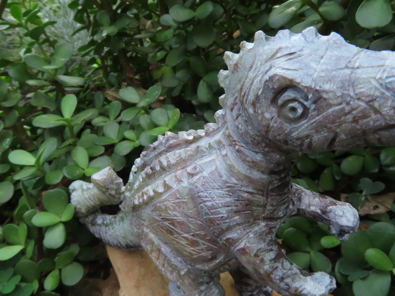 Polished  Medium Dinosaur Carving x 1 From Zimbabwe