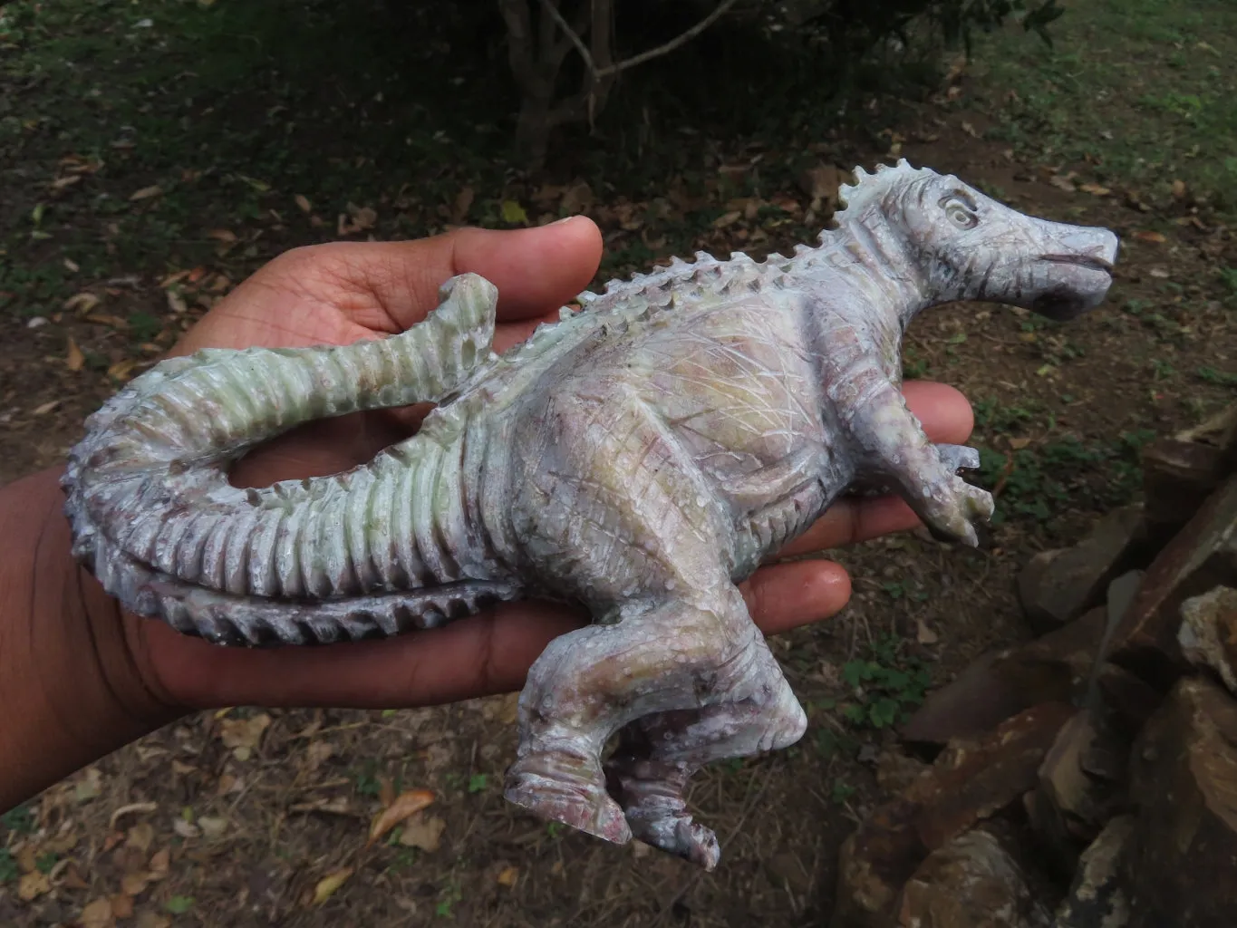 Polished  Medium Dinosaur Carving x 1 From Zimbabwe