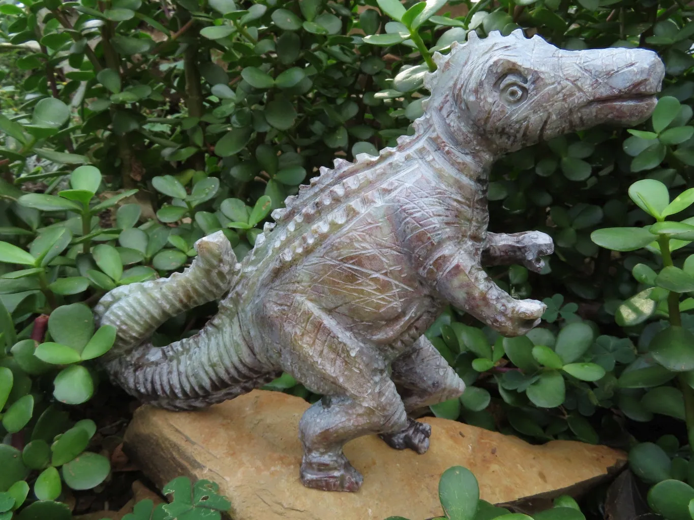 Polished  Medium Dinosaur Carving x 1 From Zimbabwe