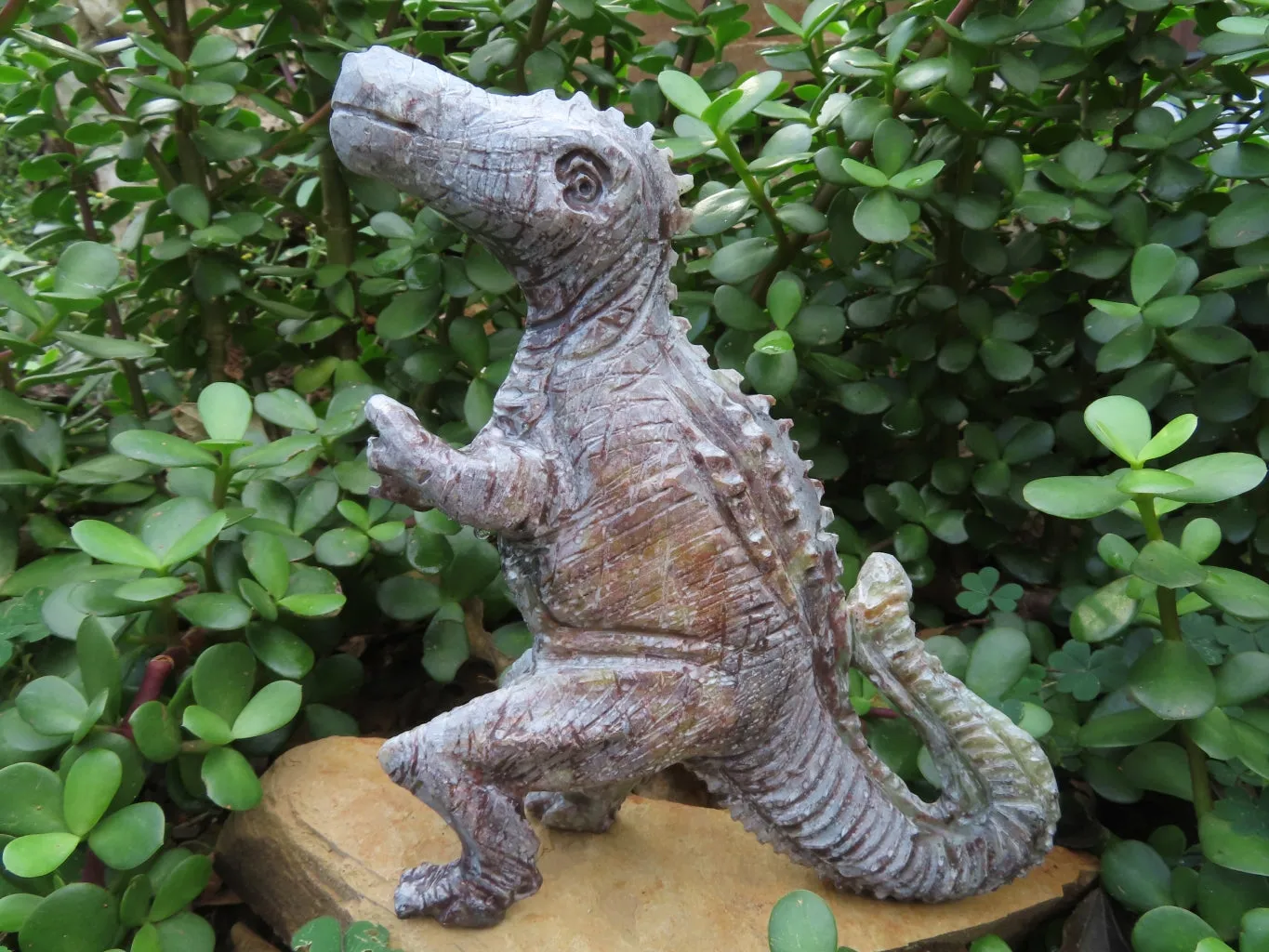 Polished  Medium Dinosaur Carving x 1 From Zimbabwe
