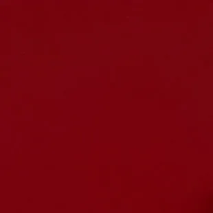 Romy Clutch in Oxblood
